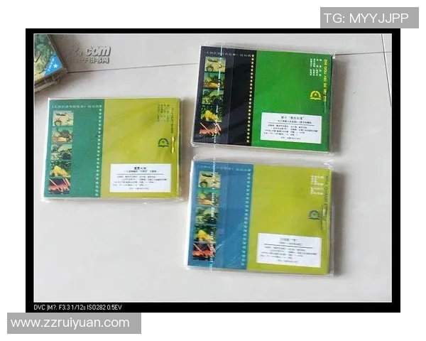 猎豹足球明星的传奇故事与辉煌成就揭秘